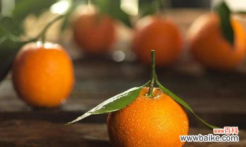 探索橙子的多重象征 橙子的象征意义