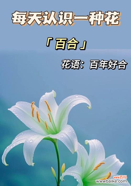 哪种花代表不纯洁的爱情？它的花语是什么？