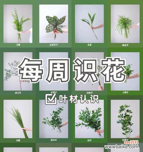 哪些花材组合象征富贵平安？富贵平安的花材组合有哪些？