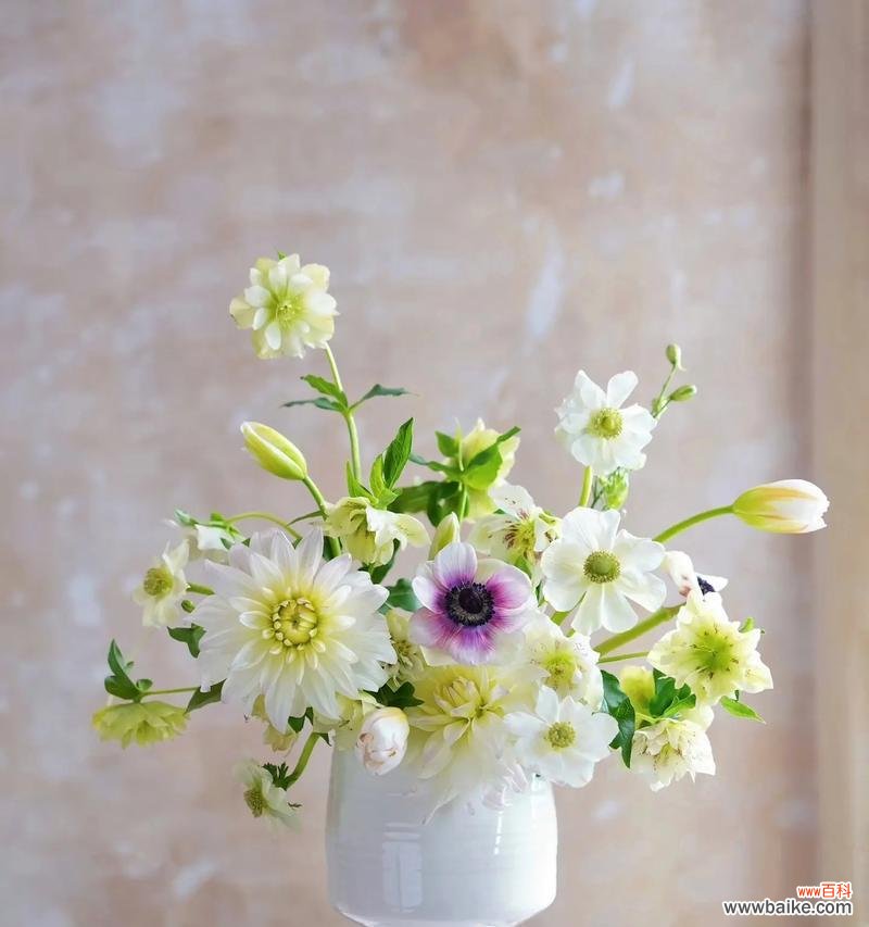 桌子摆件中哪些花代表好运？