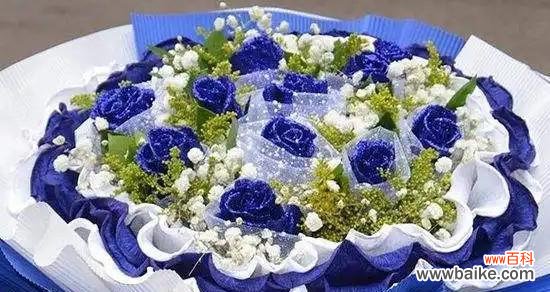 深邃之色 蓝色妖姬的寓意与花语解读