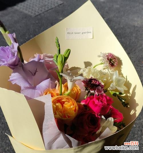 一束花三种色调代表什么含义？