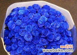 通过一种神秘的色彩揭示内心世界 蓝色妖姬