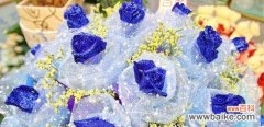 传递爱与神秘的蓝色妖姬玫瑰花语 以蓝色妖姬玫瑰花的花语