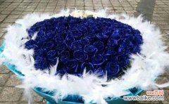深情与神秘的象征 以蓝色妖姬玫瑰花代表的意义