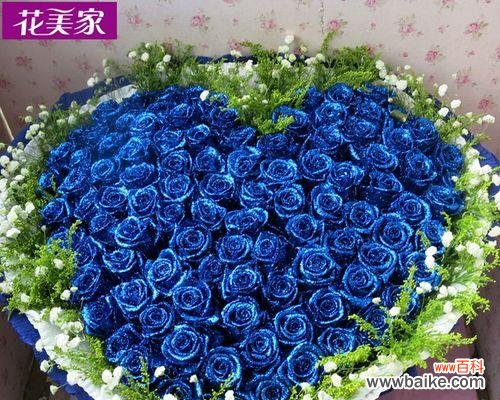 深情与神秘的象征 以蓝色妖姬玫瑰花代表的意义