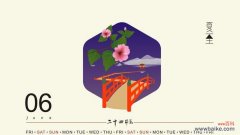 夏季节气花信有哪些花语？如何解读夏季节气的花语？