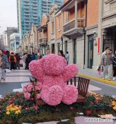 玫瑰花熊粉色的寓意是什么？