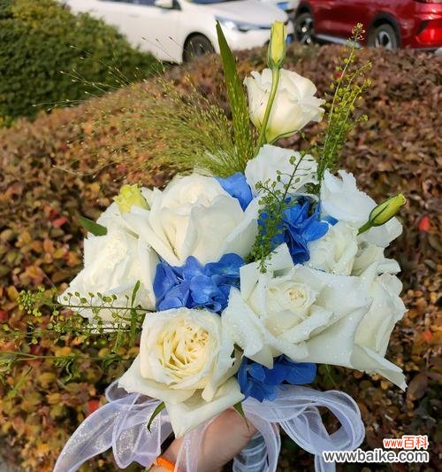 手捧花通常选择哪些花及其寓意？