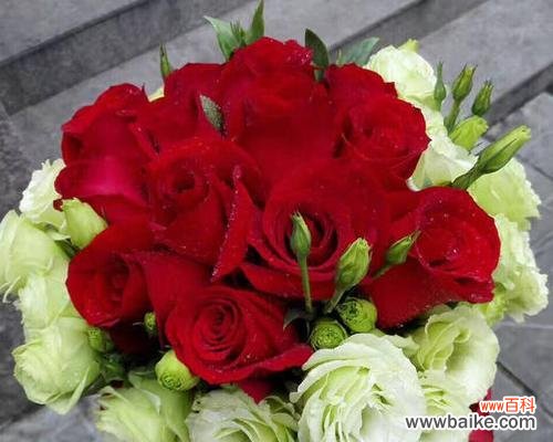 手捧花通常选择哪些花及其寓意？