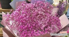 挽回爱情 花语传情，以代表复合的花送什么花