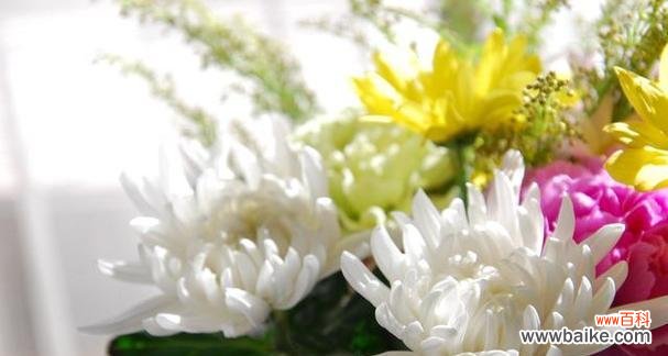 用花语诉说思念之情 怀念逝去亲人的花