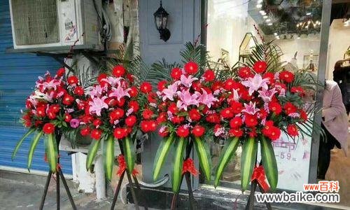 湘龙花语有何特别之处？如何表达湘龙的浪漫花语？