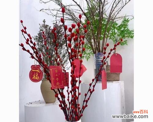 黄色的年宵花寓意是什么?年宵节选择黄色花卉的含义?