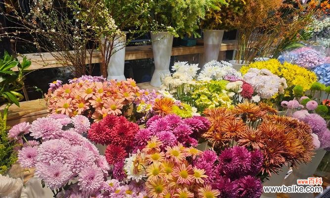 黄色的年宵花寓意是什么?年宵节选择黄色花卉的含义?