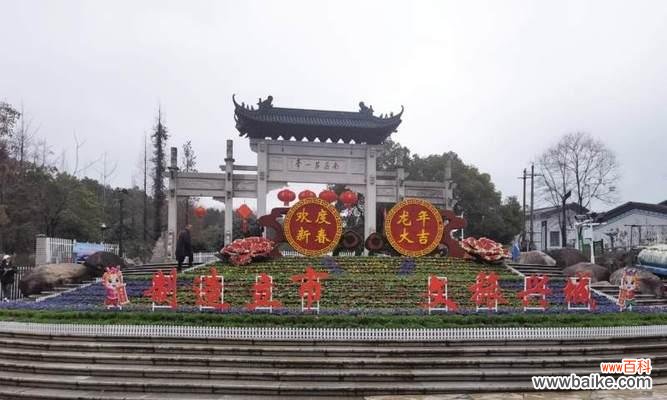 春节单位摆花有哪些好的寓意?