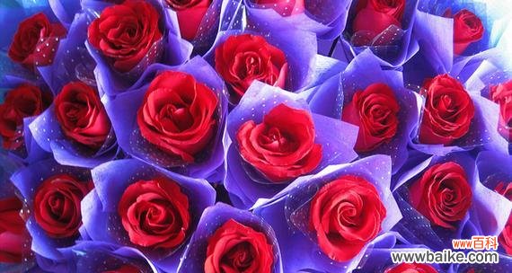 爱与希望的绽放 两朵玫瑰的象征意义