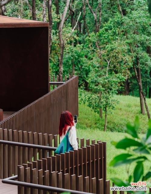 花朵揭示的那份禁忌之爱的真相 违禁之爱