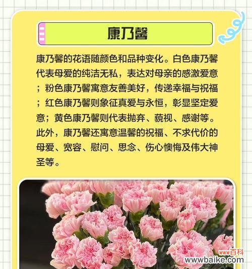 哪种花代表亲情？亲情花语的含义是什么？