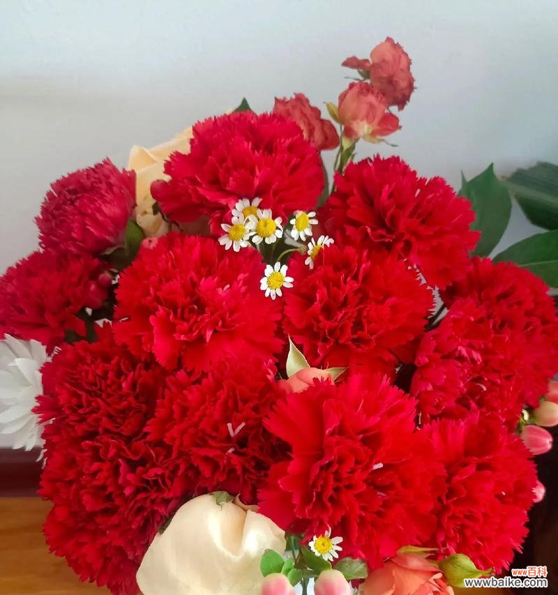 寓意平安祥和的花是什么？