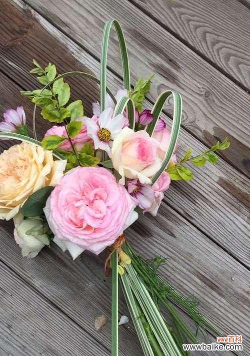 竹子与月季搭配的手捧花有何寓意？