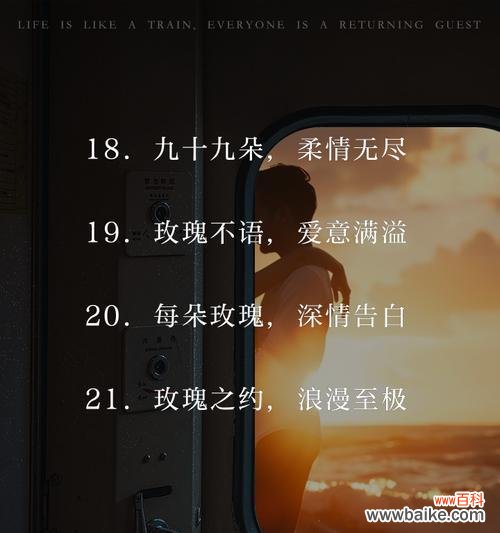 99朵玫瑰代表了怎样的爱情含义？