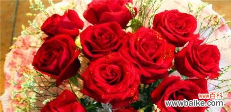 六朵玫瑰传递的情感和心意 六朵玫瑰花语