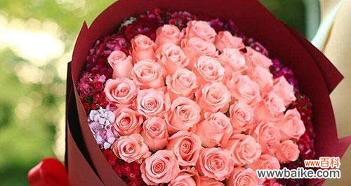 揭示六朵玫瑰所代表的深刻内涵 六朵玫瑰的寓意及象征意义