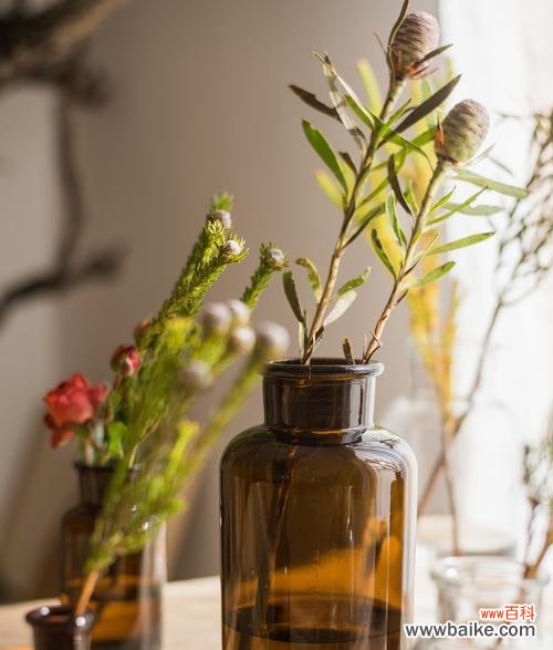 棕色花有何特殊含义?在花艺设计中棕色花代表什么?