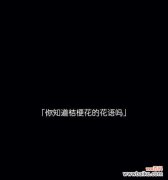 黑色桔梗花的花语和寓意是什么？