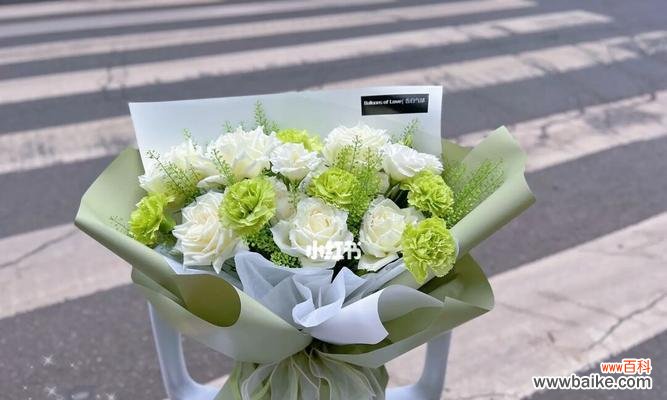 探索康乃馨花语 绿色康乃馨花语的美丽寓意