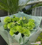 探索康乃馨花语 绿色康乃馨花语的美丽寓意