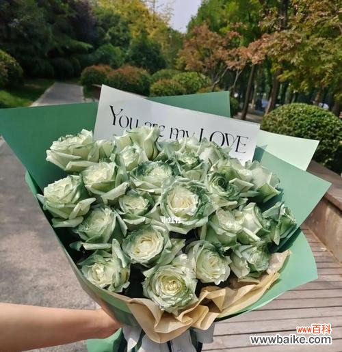 探索绿玫瑰的神秘魅力 绿玫瑰的花语与寓意