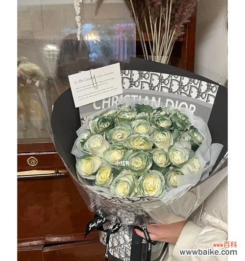 探寻绿玫瑰在不同文化中的寓意 绿玫瑰的象征意义