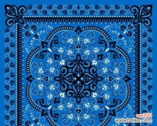 蓝色手绢代表什么花的寓意？它们的象征意义是什么？