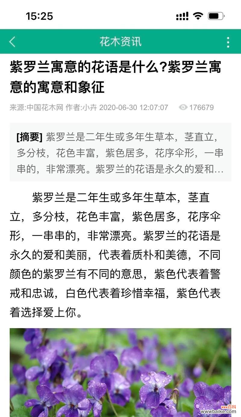 揭开多肉植物背后的秘密 多肉花的花语与寓意