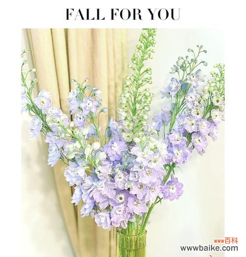 浪漫花语有哪些？花的含义有哪些浪漫语句？