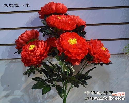 一束变色牡丹花的寓意是什么？变色牡丹花代表什么？