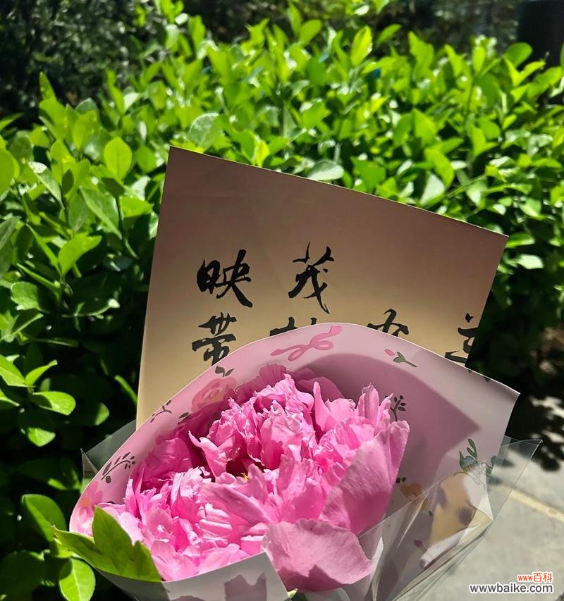 一束变色牡丹花的寓意是什么？变色牡丹花代表什么？