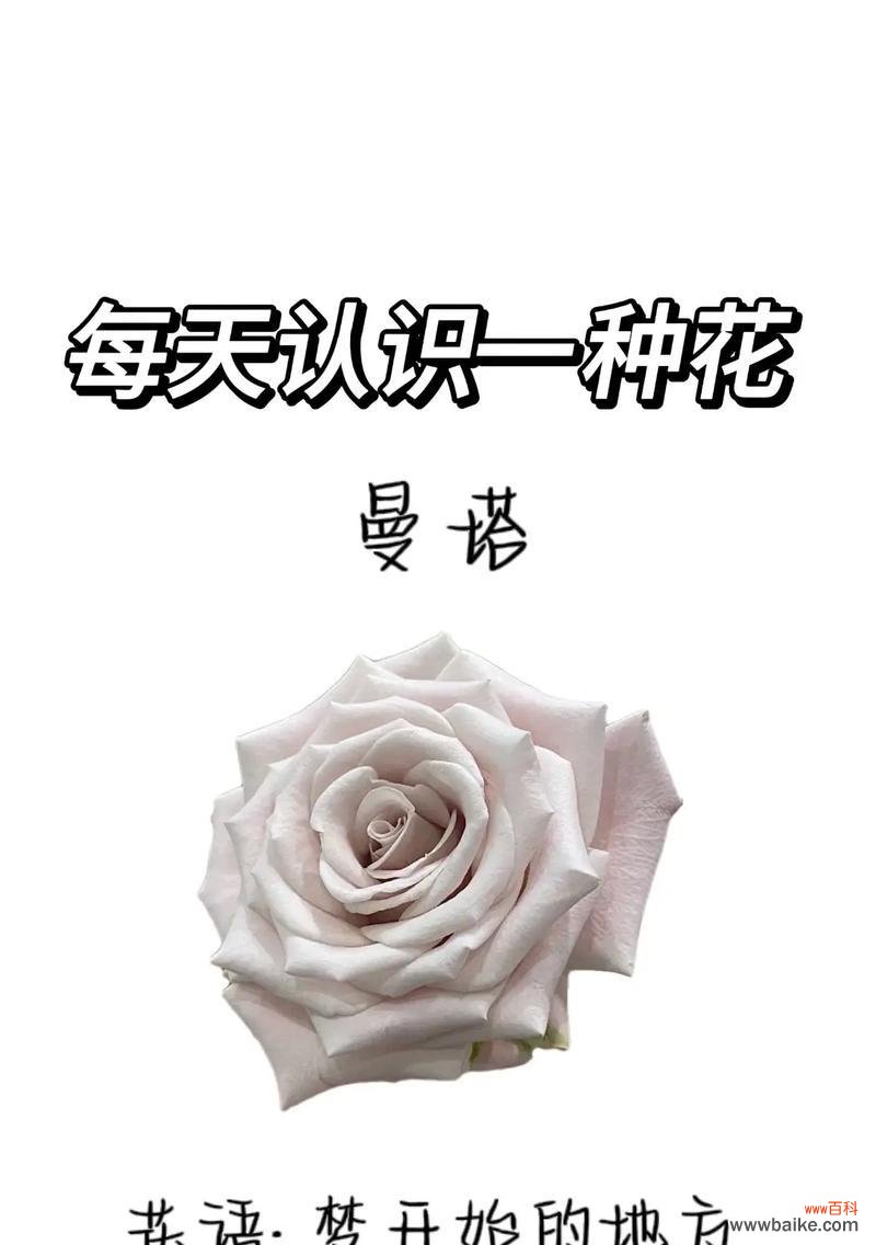 喷色花的花语是什么?