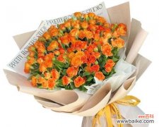 橙色花的花语是什么？它代表什么情感？