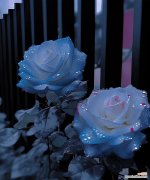 花语大全中寓意平安的花有哪些？