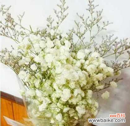 星光耀眼 满天星的寓意和象征——一束璀璨的希望