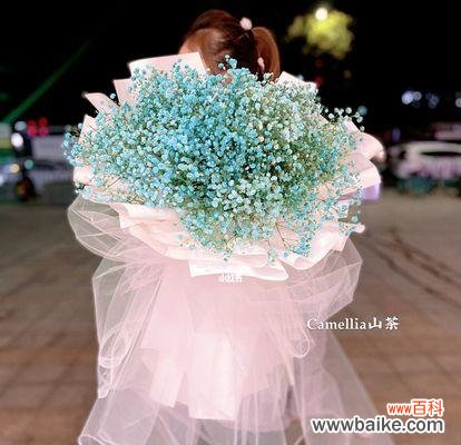 传说中的满天星花与其花语解析 满天星花的传说与花语