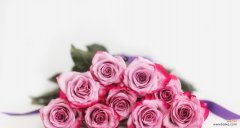 粉色玫瑰象征什么？粉色玫瑰花的寓意是什么？