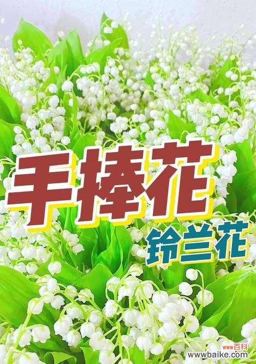 铃兰花缠花手捧花的寓意是什么？