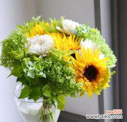 手捧花和螺旋花各自代表什么？它们的寓意是什么？