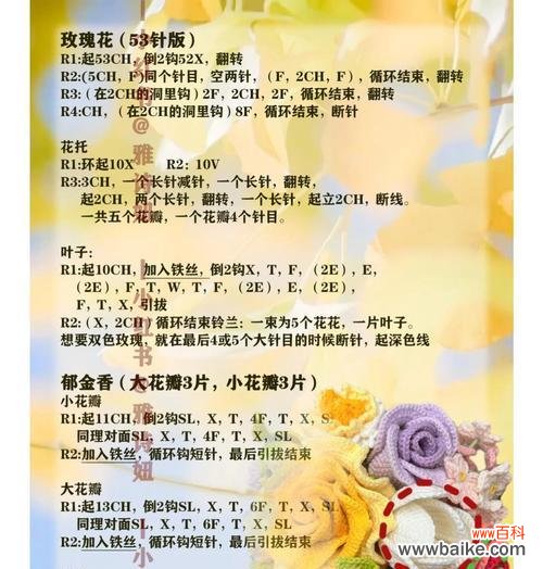 手捧花和螺旋花各自代表什么？它们的寓意是什么？