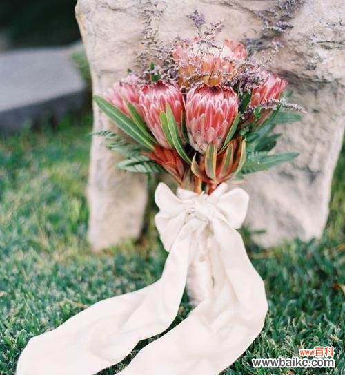 手捧花和螺旋花各自代表什么？它们的寓意是什么？