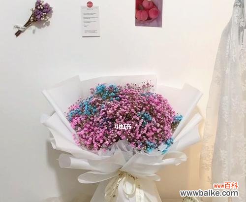 美丽绽放的祝福之花 满天星花束的寓意与意义